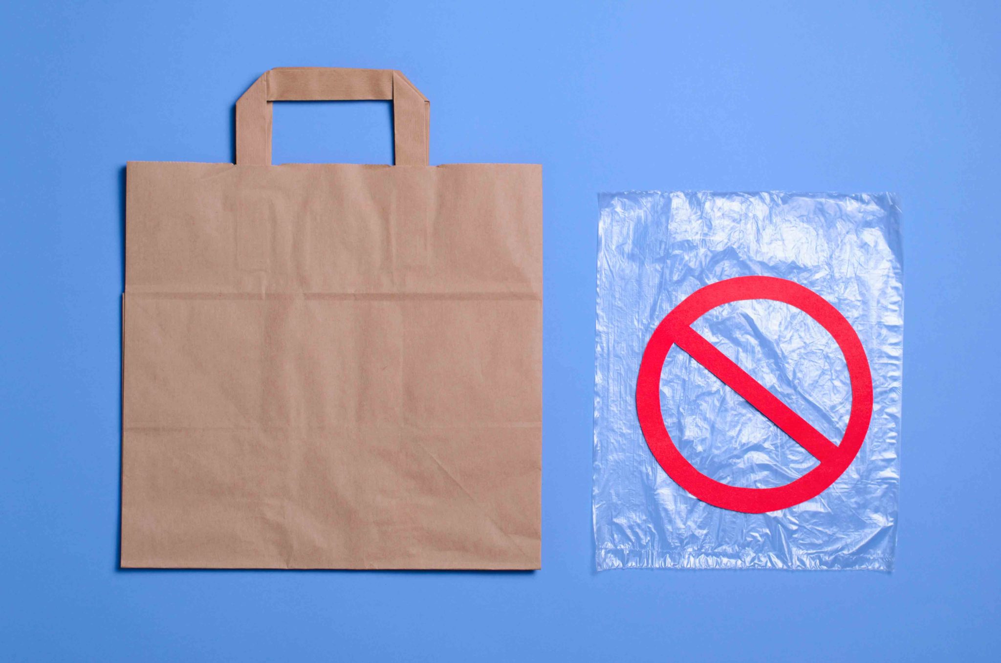 Paper bag vs plastic bag презентация